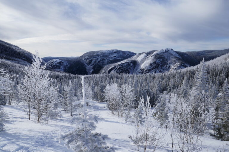 Lire la suite à propos de l’article Mont du lac des Cygnes en hiver